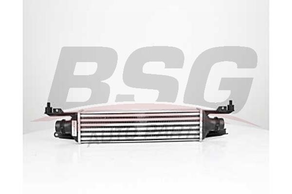 BSG 65-535-012 Intercooler, charger 65535012