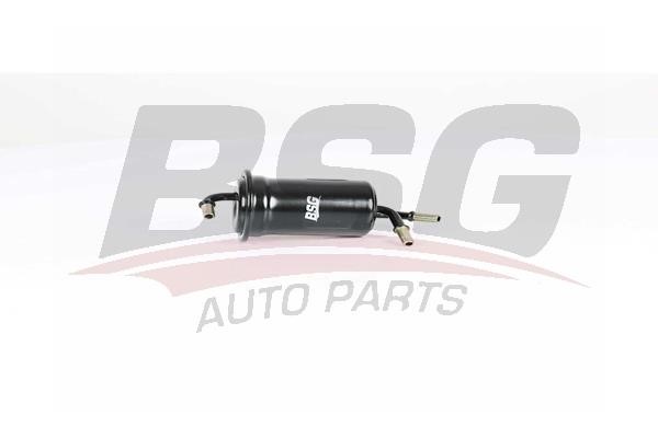 BSG 40-130-013 Fuel filter 40130013