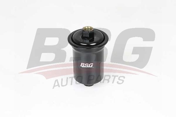 BSG 40-130-018 Fuel filter 40130018
