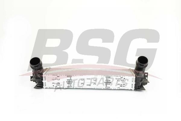 BSG 15-535-002 Intercooler, charger 15535002