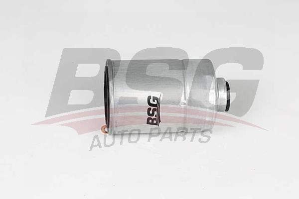 BSG 40-130-020 Fuel filter 40130020