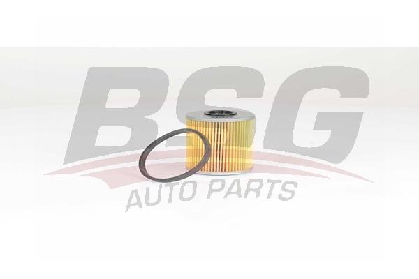 BSG 65-130-010 Fuel filter 65130010