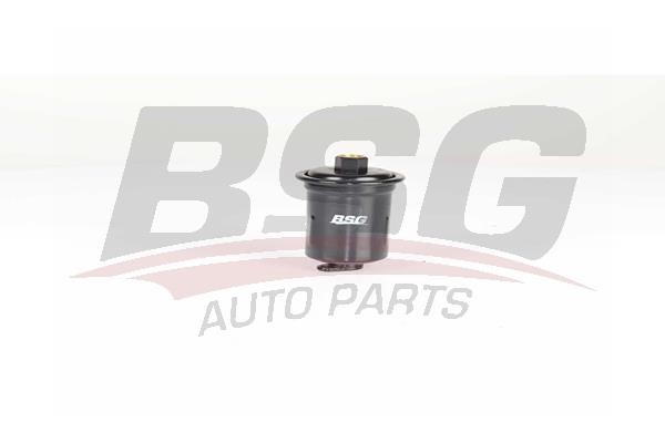 BSG 40-130-008 Fuel filter 40130008
