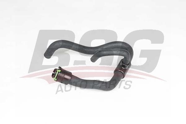 BSG 65-700-433 Radiator hose 65700433