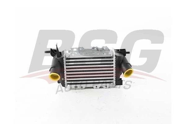 BSG 65-535-019 Intercooler, charger 65535019
