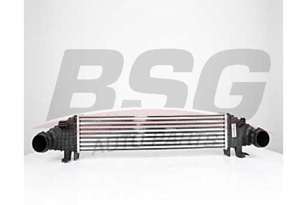 BSG 60-535-009 Intercooler, charger 60535009