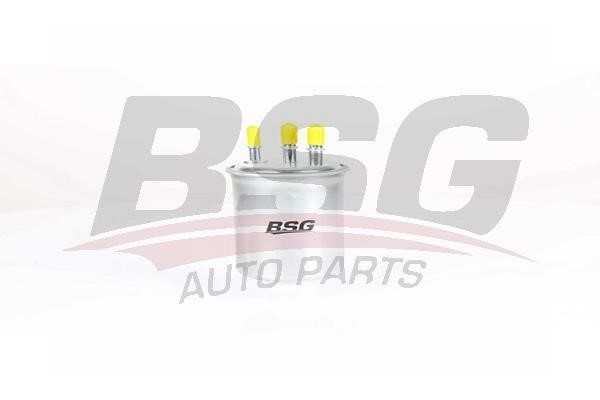 BSG 40-130-015 Fuel filter 40130015