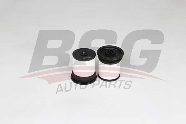 BSG 16-130-002 Fuel filter 16130002