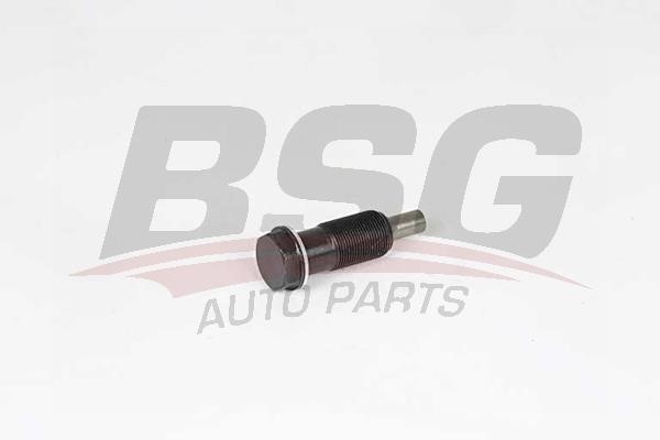 BSG 60-109-011 Timing Chain Tensioner 60109011