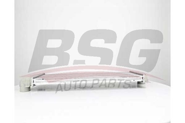 BSG 60-535-005 Intercooler, charger 60535005