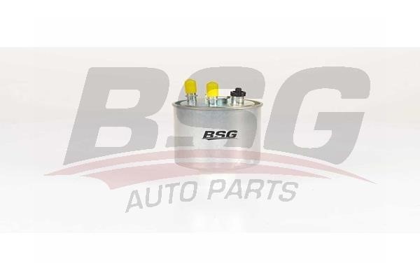 BSG 75-130-005 Fuel filter 75130005