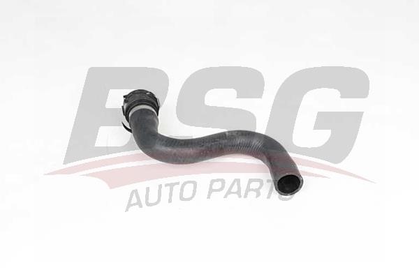 BSG 90-720-172 Radiator hose 90720172