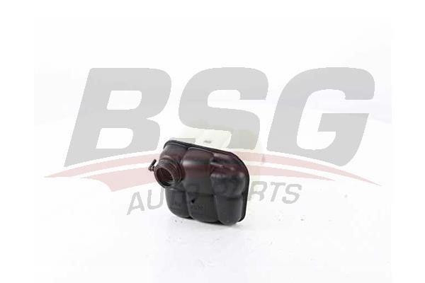 BSG 60-550-001 Expansion Tank, coolant 60550001