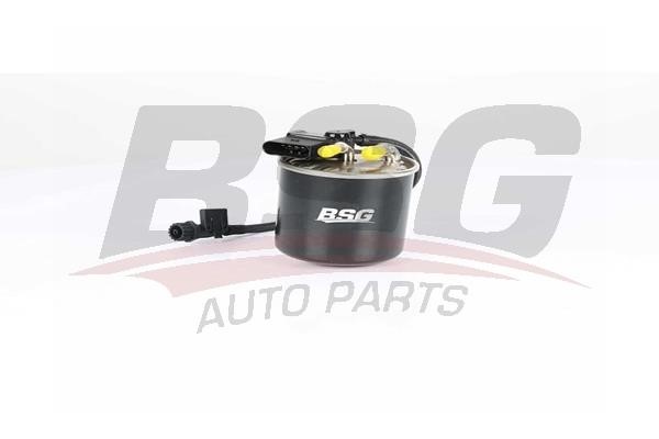 BSG 60-130-015 Fuel filter 60130015