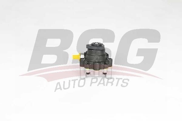 BSG 15-355-025 Hydraulic Pump, steering system 15355025