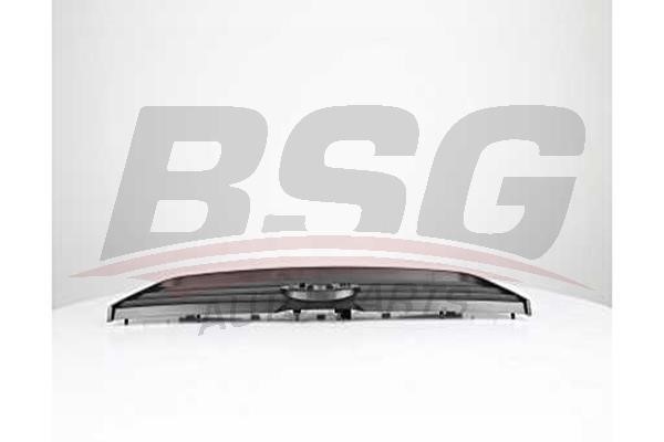 BSG 30-927-022 Radiator Grille 30927022