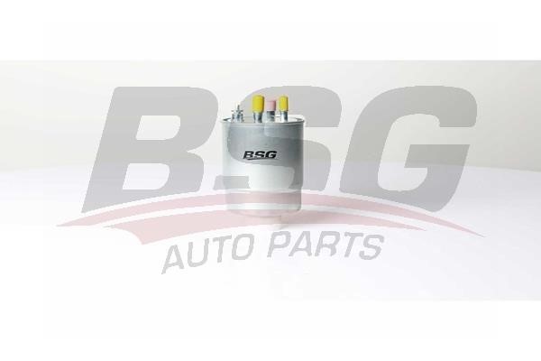 BSG 25-130-001 Fuel filter 25130001