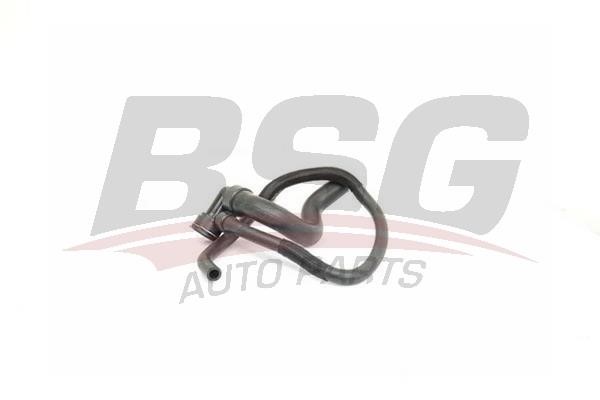 BSG 65-720-211 Radiator hose 65720211