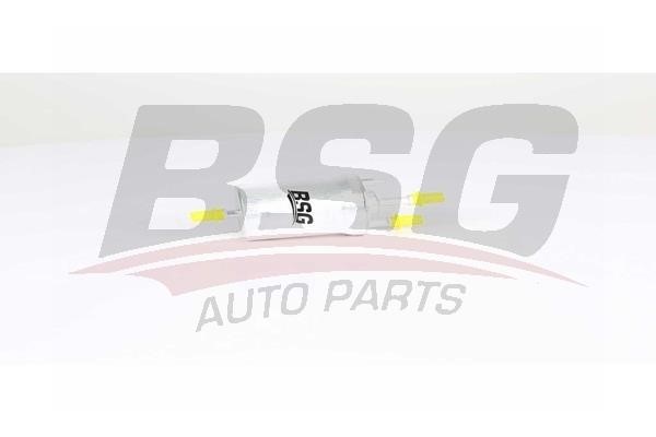 BSG 90-130-018 Fuel filter 90130018