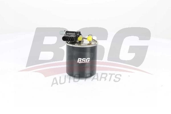 BSG 60-130-018 Fuel filter 60130018