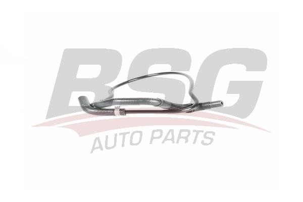 25725010 BSG Fuel pipe