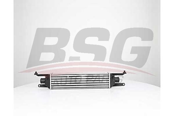 BSG 75-535-010 Intercooler, charger 75535010