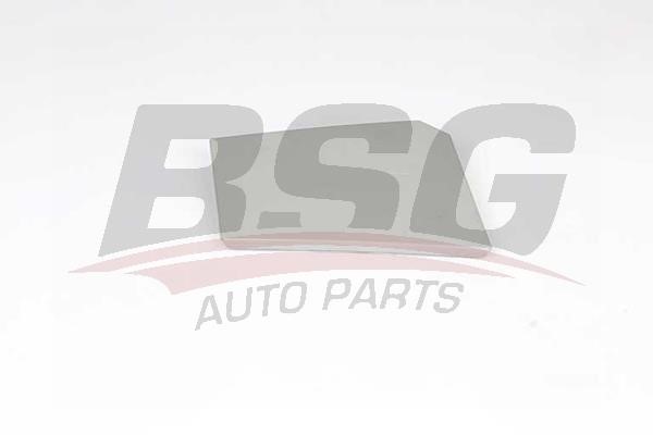 BSG 70-971-001 Fuel Door Assembly 70971001