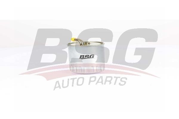 BSG 60-130-013 Fuel filter 60130013