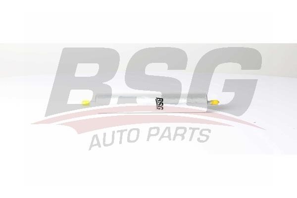 BSG 90-130-028 Fuel filter 90130028