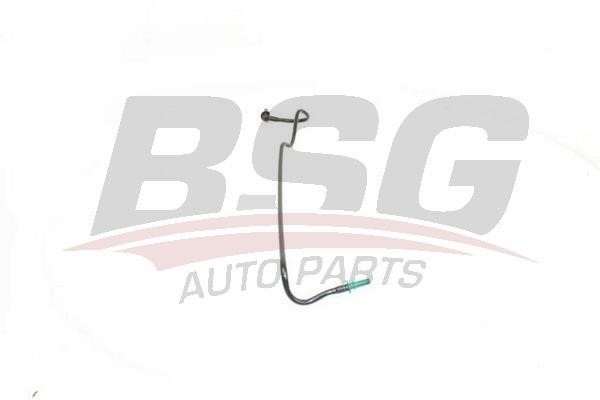 25725001 BSG Fuel pipe