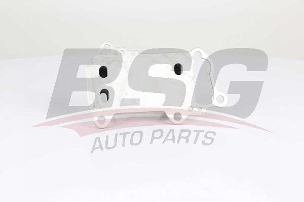BSG 15-506-021 Oil Cooler, engine oil 15506021