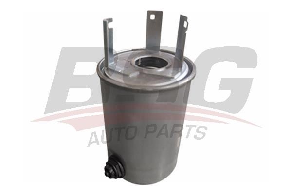 BSG 75-130-019 Fuel filter 75130019
