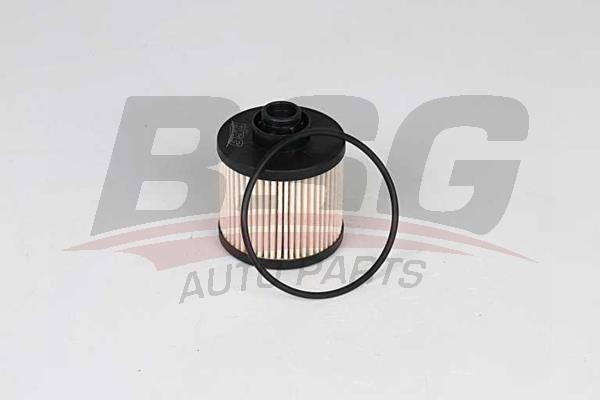 BSG 30-130-019 Fuel filter 30130019