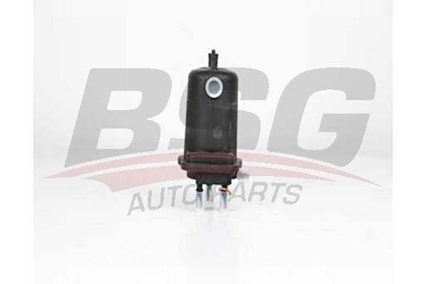 BSG 75-130-015 Fuel filter 75130015