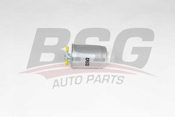 BSG 90-130-039 Fuel filter 90130039