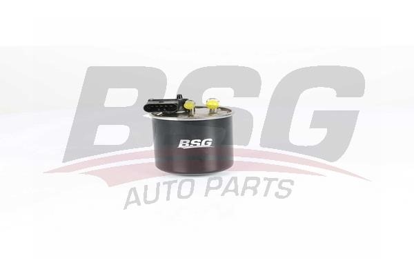 BSG 60-130-021 Fuel filter 60130021