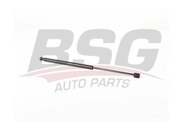 40980026 BSG Tailgate strut