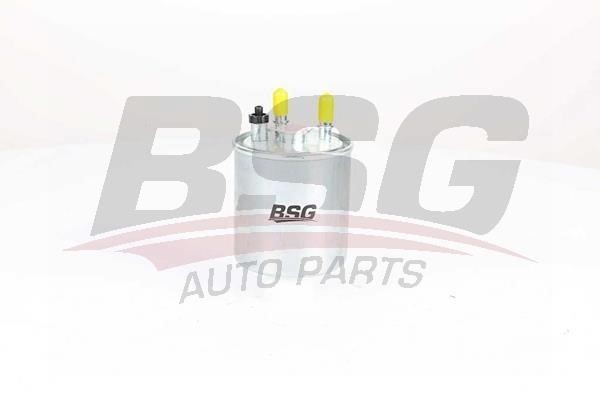 BSG 75-130-006 Fuel filter 75130006