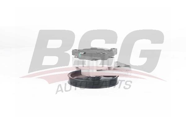 BSG 60-355-030 Hydraulic Pump, steering system 60355030