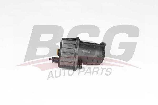 BSG 75-130-017 Fuel filter 75130017