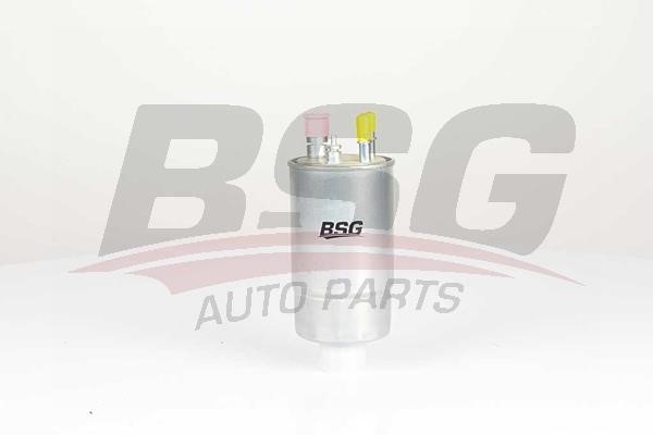 BSG 65-130-008 Fuel filter 65130008