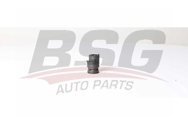 BSG 15-125-008 Thermostat, oil cooling 15125008