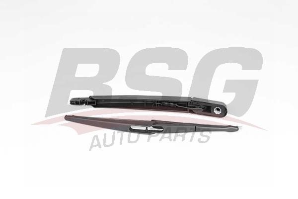 BSG 60-990-004 Wiper Arm Set, window cleaning 60990004