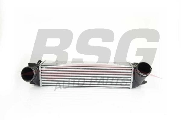 BSG 15-535-001 Intercooler, charger 15535001