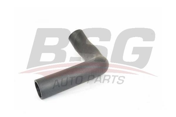 BSG 15-720-100 Intake Hose, air filter 15720100