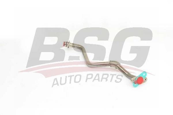 BSG 30-725-100 Oil Pipe, charger 30725100
