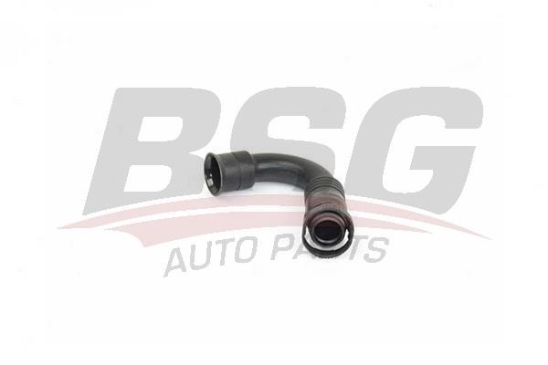 BSG 90-720-154 Hose, cylinder head cover breather 90720154