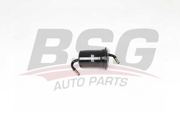 BSG 40-130-019 Fuel filter 40130019