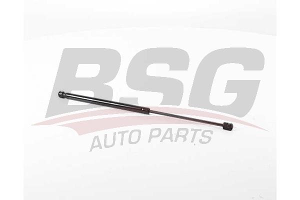 BSG 75-980-012 Gas hood spring 75980012