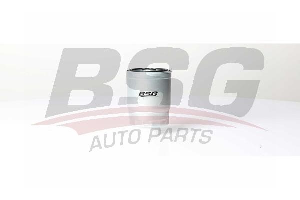BSG 40-130-016 Fuel filter 40130016